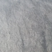 10175.