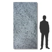 16031.