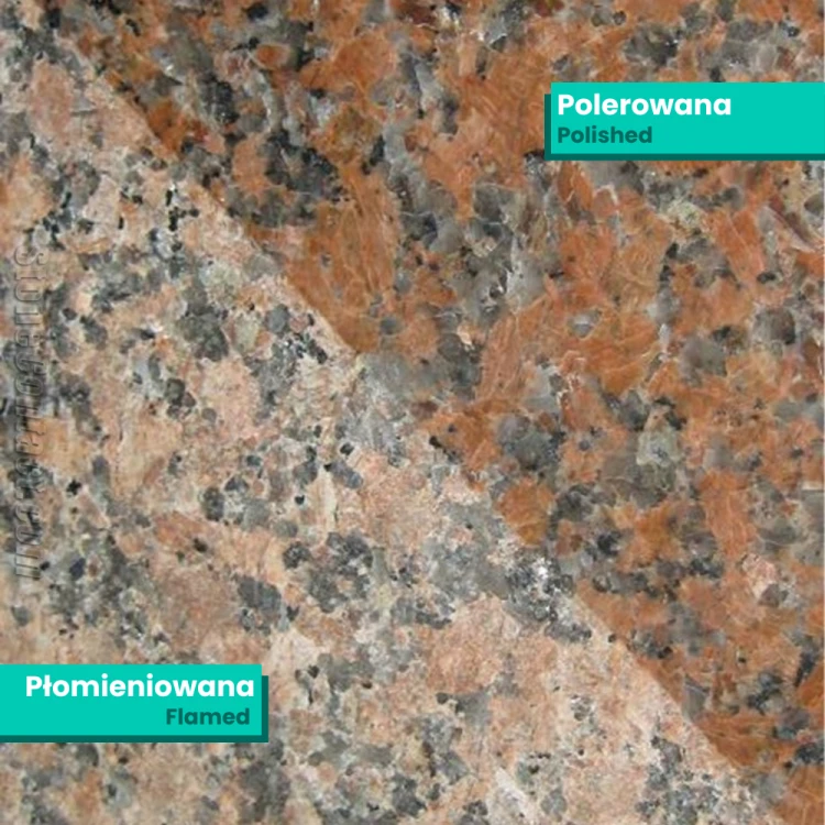 17173