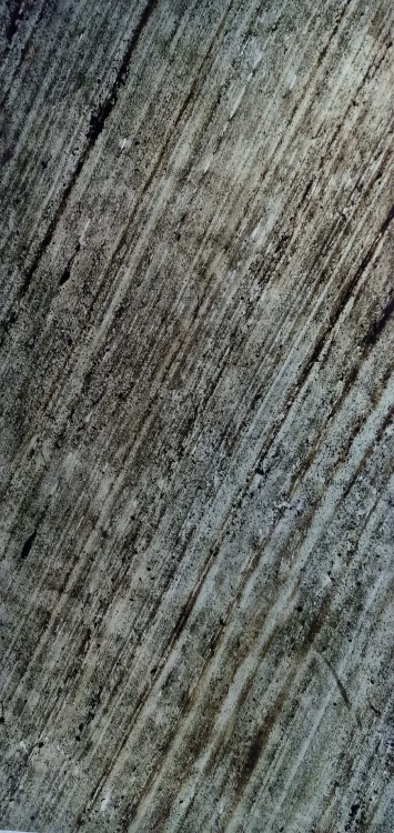 17461.