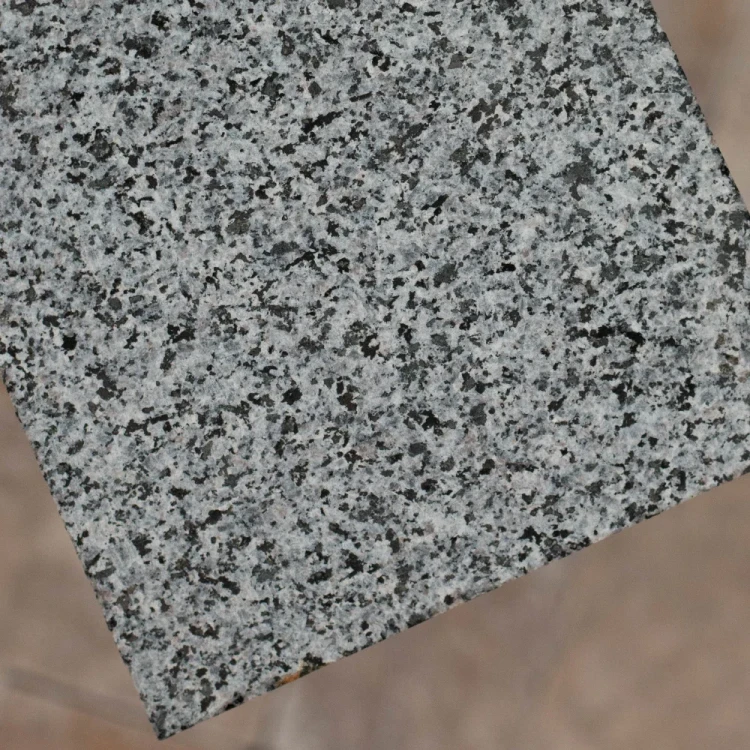 20273.
