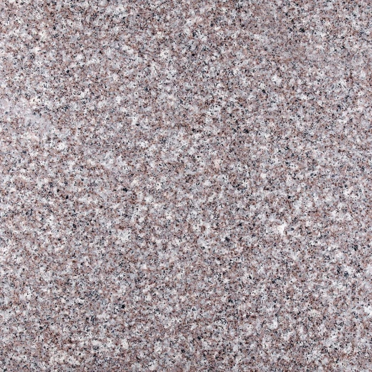 6205